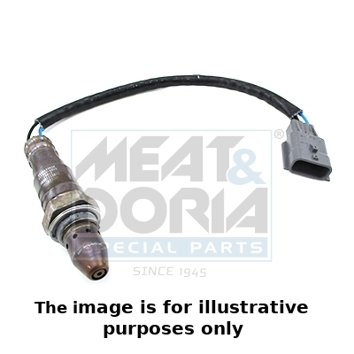 Oxygen Sensor